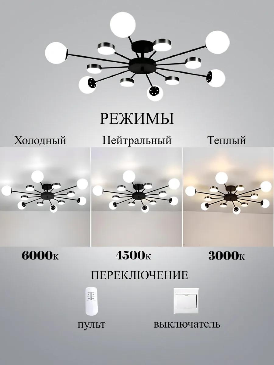 Фото 3