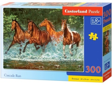 Castorland В-030361 классический 300 деталей
