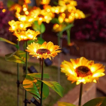 Фото 2
