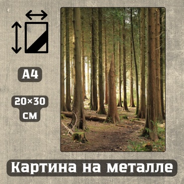 Sequoia VERS картина Картина на металле а4 Дыхание природы 20*30см 20x30 см