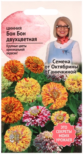 Цинния Бон бон двухцветная