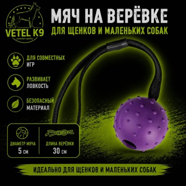 Мячик 30464851_642600815 фиолетовый