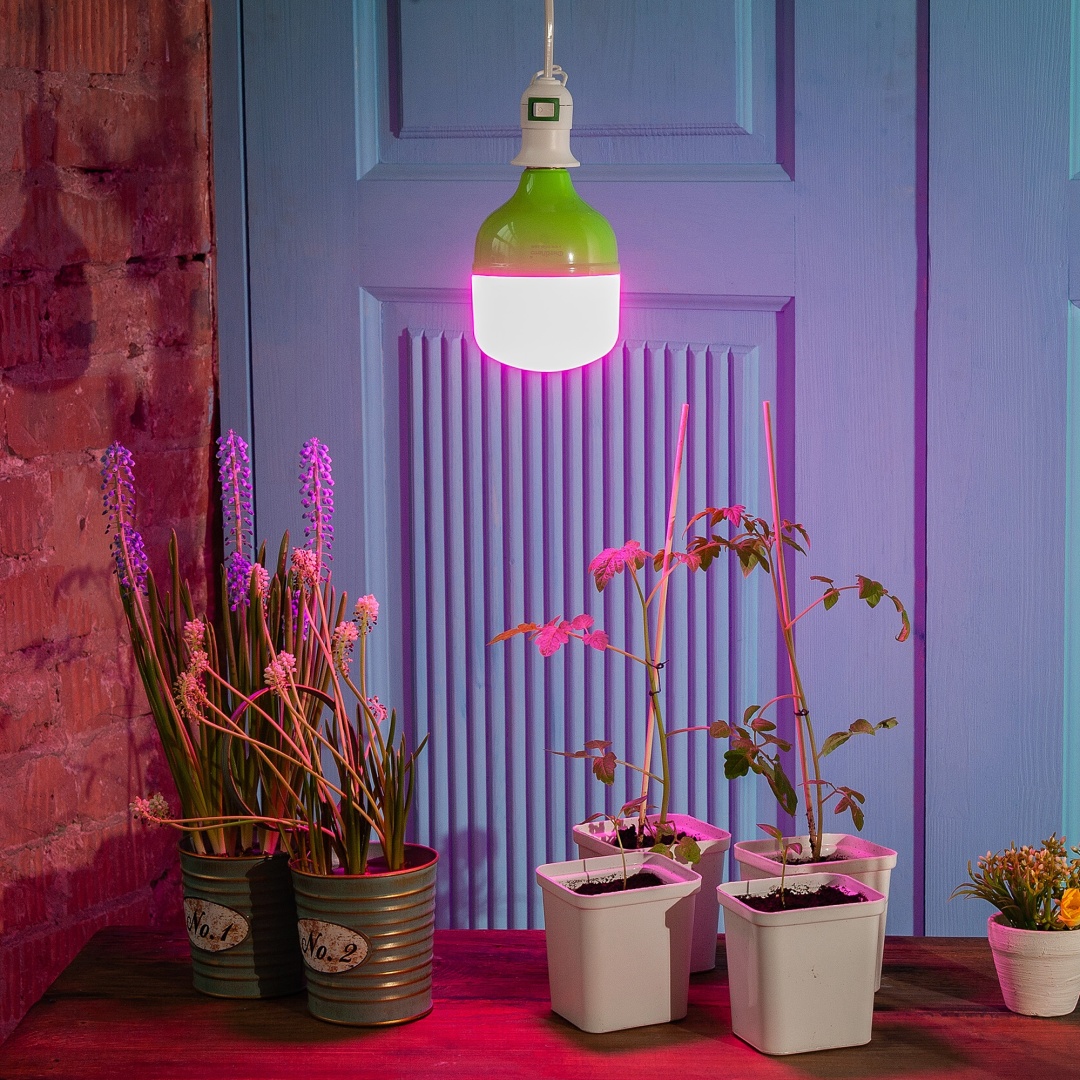 Светодиодная ФитоЛето LED-M80-20W-SPSB-E27-FR PLS55GR 20 Вт, 0 К