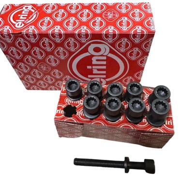 Erling болт головки блока цилиндров 819.818