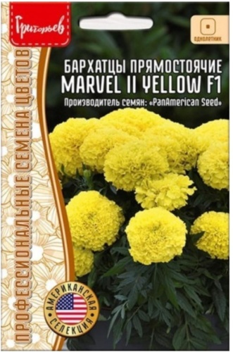 Бархатцы Marvel ll Yellow