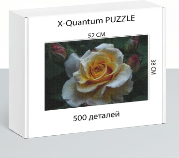 X-Quantum puzzle_vq2udhe1gy классический 500 деталей