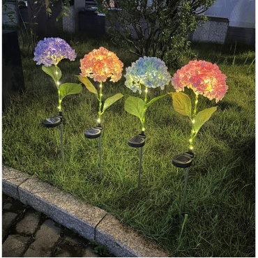 Фото 3