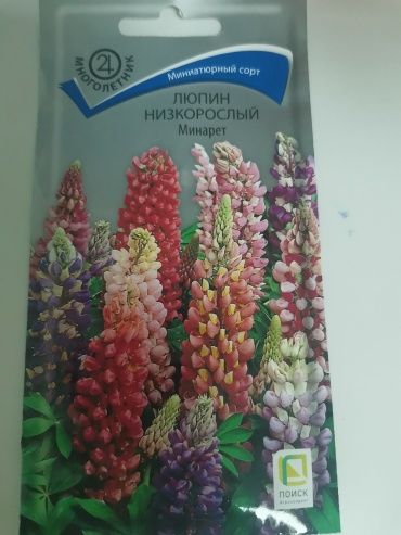 Поиск люпин Низкорослый Минарет