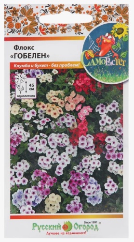 Русский огород флокс Гобелен