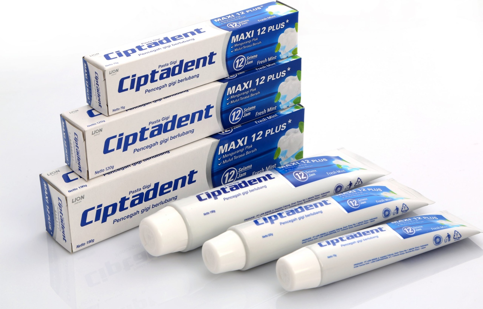 Ciptadent зубная паста Maxi 12 Plus Fresh Mint 120 г