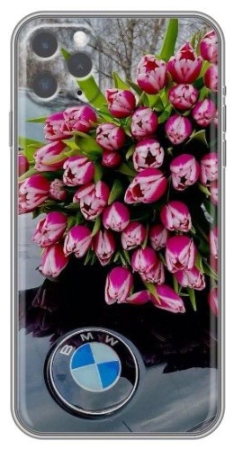 Чехол для Apple iPhone 11 Pro рисунок