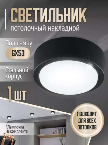 Светильник настенно-потолочный без цоколя черный