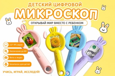 Наблюдение, изучение насекомых 30412423_592144124