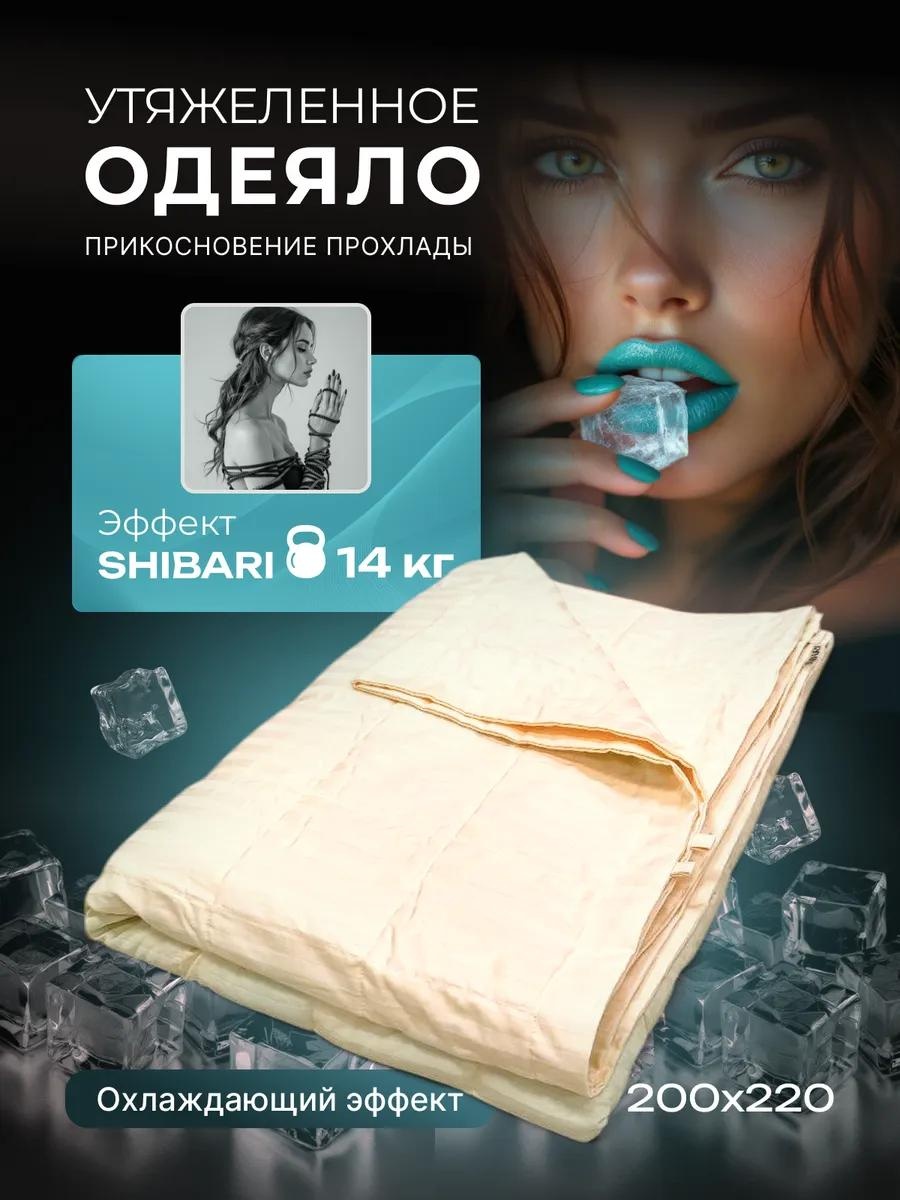 Одеяло LUCCI 8A3BB4520D80C9BA 200x220 всесезонное