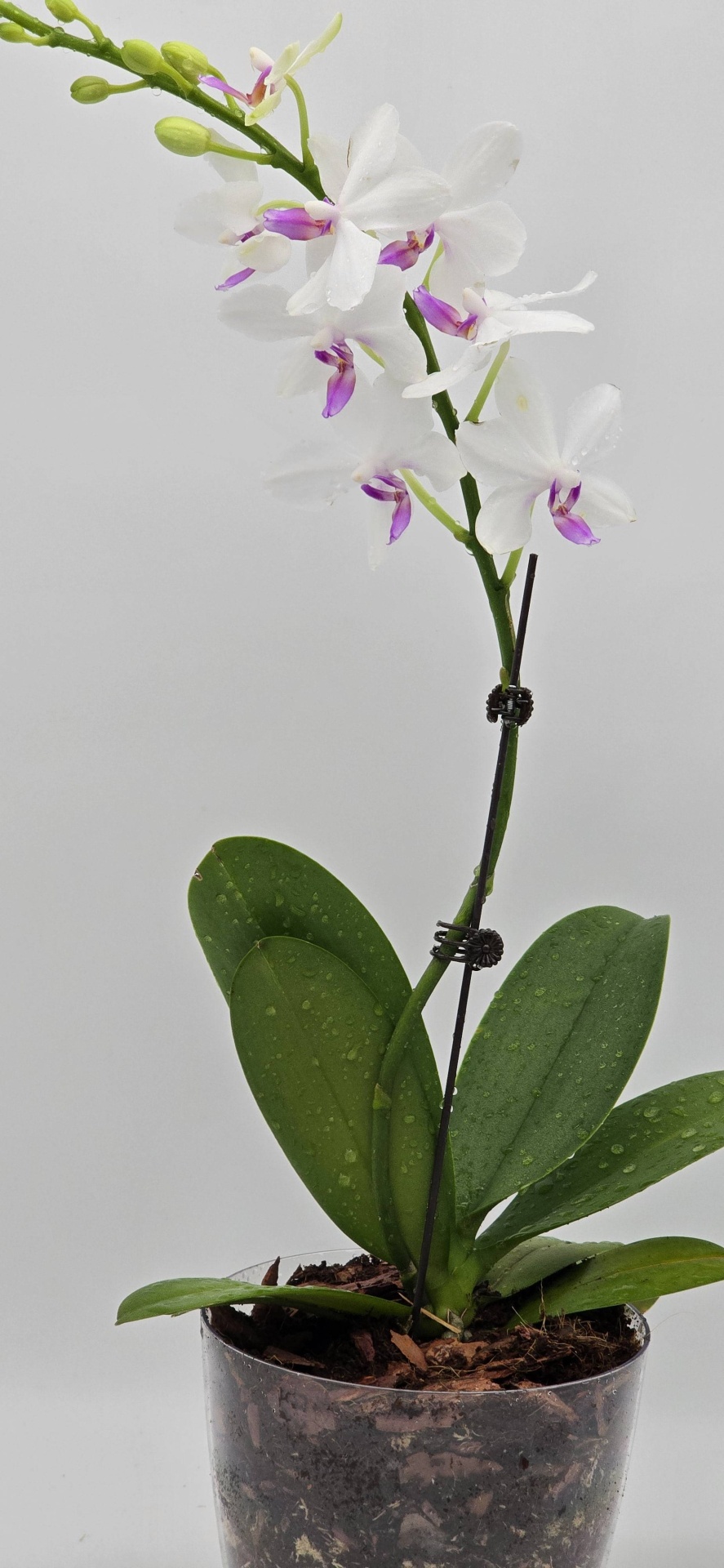 Фото 3