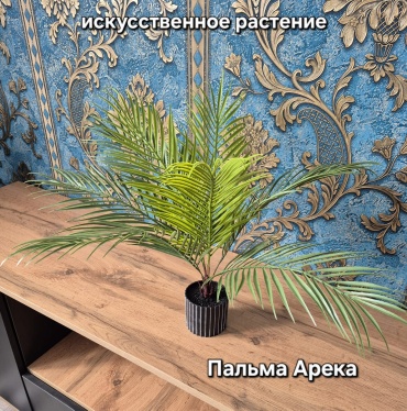 Дерево Dekart пальма 46 см, Арека