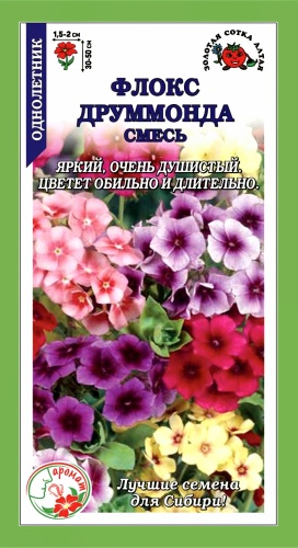 Золотая сотка Алтая флокс ДРУММОНДА смесь