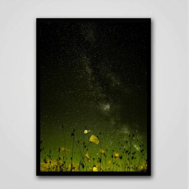 Quantum картина Дыхание природы 21x30 см