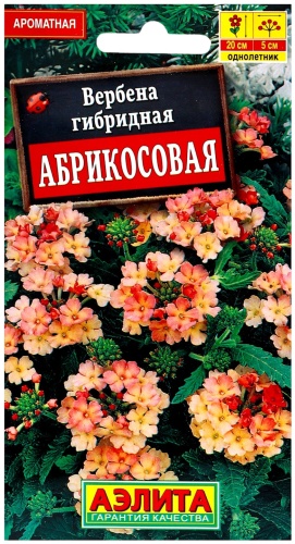 Аэлита Агро вербена Абрикосовая