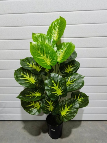 Фото 6
