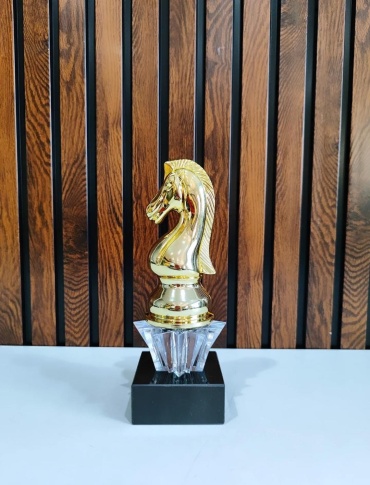 Golden Cup трофей "Шахматный Конь"