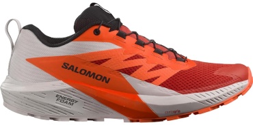 Кроссовки Salomon Sense ride 5 мультиколор
