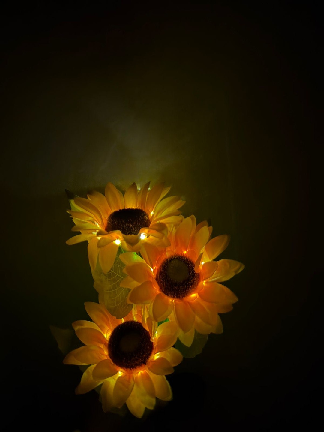 Фото 2