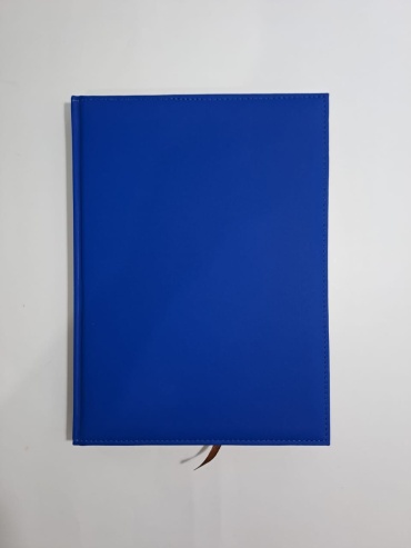 Ежедневник Кожзам, A4, 192 л, синий