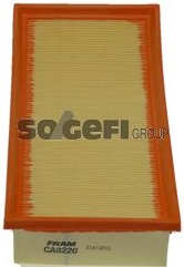 FRAM воздушный фильтр CA8220