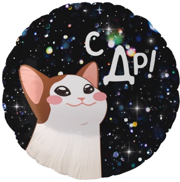 Воздушный шар Falali С Др! Котик 1 шт, мультиколор, черный