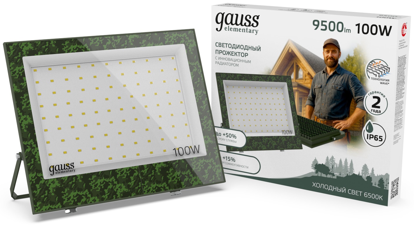 Прожектор на кронштейне Gauss 100 Вт, холодный белый