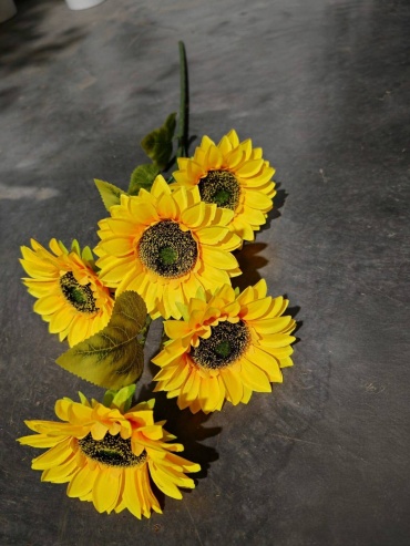 Фото 6