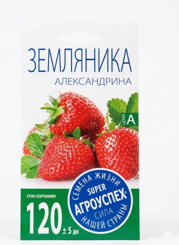Земляника Александрина