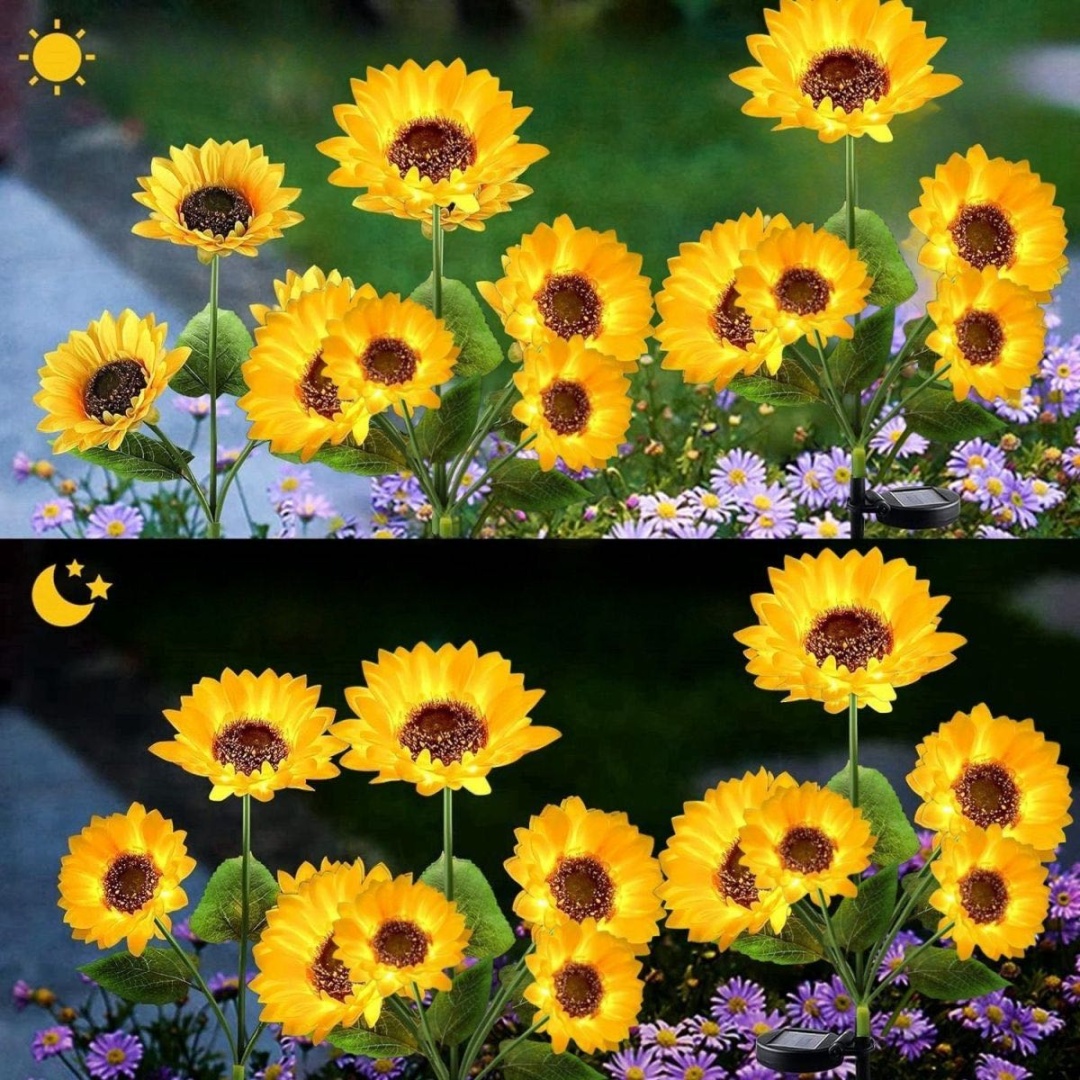 Фото 3