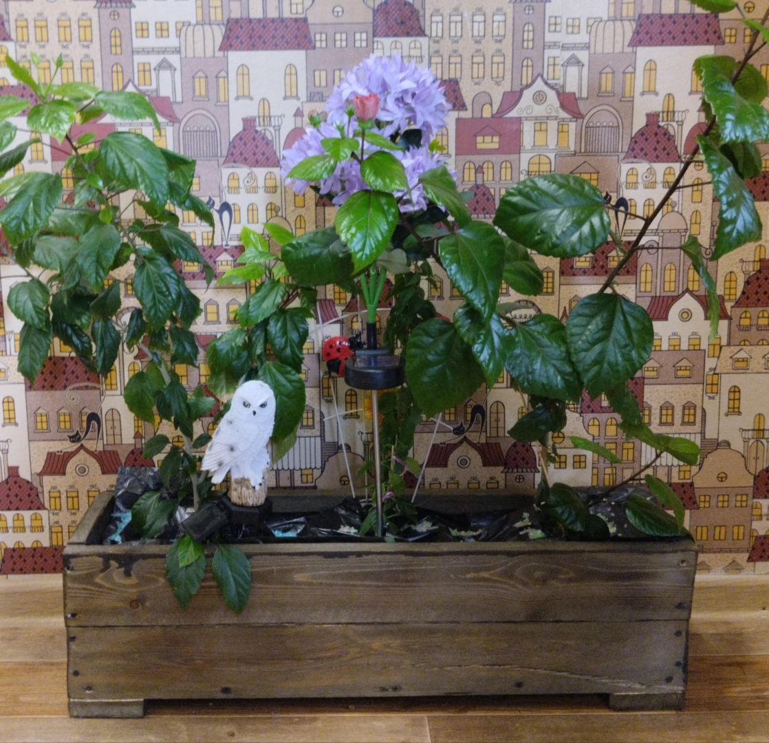Фото 3