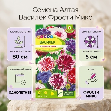 Семена Алтая василек Фрости Микс