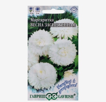 Гавриш маргаритка Весна заснеженная