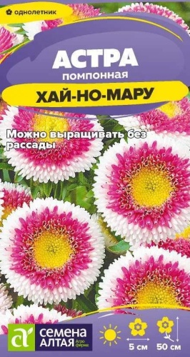 Семена Алтая астра Хай-но-мару помпонная