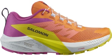 Кроссовки Salomon Sense Ride 5 мультиколор