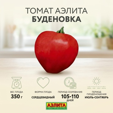 Аэлита томат Буденовка