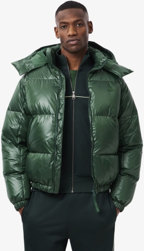 Зимняя куртка LACOSTE зеленый