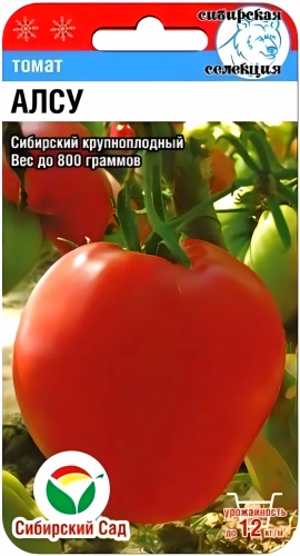Сибирская селекция томат АЛСУ