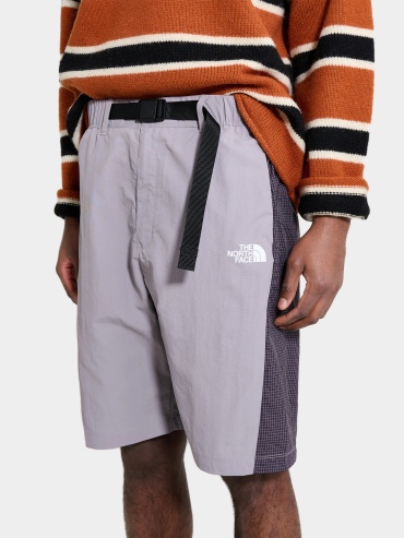Спортивные шорты The North Face серый