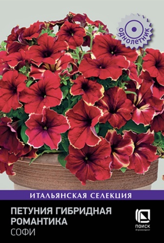 Поиск петуния Софи F
