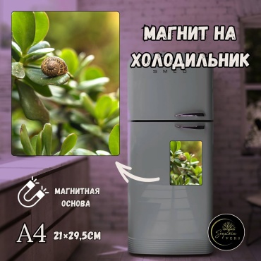 Sequoia VERS магнит-сувенир Дыхание природы. природа, леса. А4 1 шт