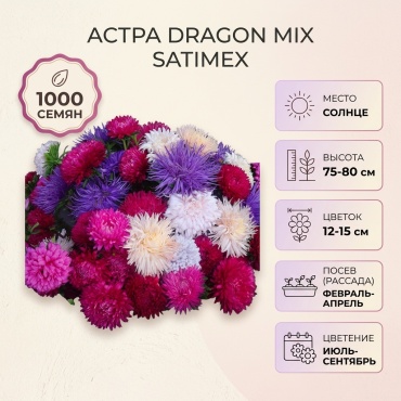 Астра Dragon Mix Satimex 1 000 семян
