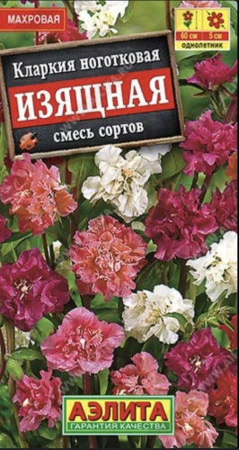 Аэлита кларкия Изящная