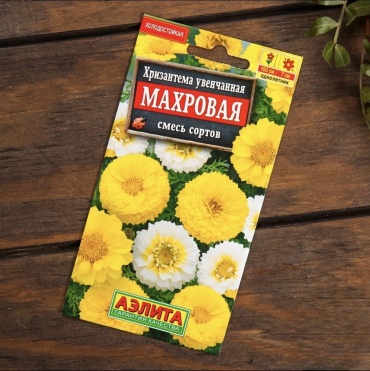 4season хризантема Махровая смесь