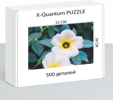 X-Quantum puzzle_m5m6yrcl7f классический 500 деталей
