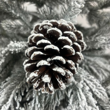Фото 2